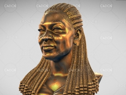 BLM联合创始人艾丽西亚·加尔扎联合创始人铜像雕塑雕像C4D模型 Alicia G