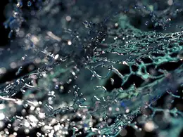 飞散的粒子水珠fluidpbd tendrils r16-r23 x-particles cycles4d