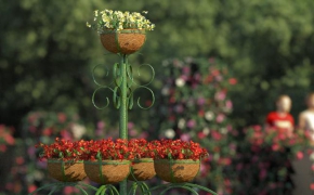 花卉3D模型合集 R&D Group – iFlowers vol.5 Stands