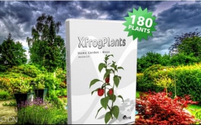 花园植物3D模型 Xfrog Plants – Home Garden