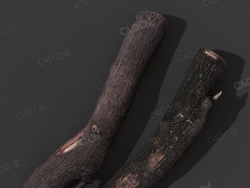 C4D树枝树干木头模型下载 woodLog