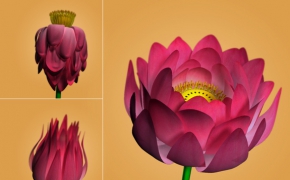 莲花/荷花C4D模型 Lotus 3d model