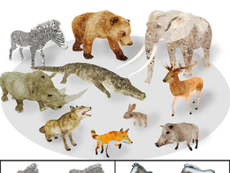 10个非洲动画低多边形3D模型 Africa Animal Illustration Animated Part 1