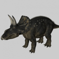 恐龙C4D模型：双角龙 Nedoceratops