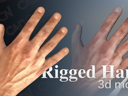 男性手掌绑定C4D模型 Rigged Hand 3d model
