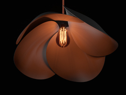 创意花瓣吊灯C4D模型 Celing lamp