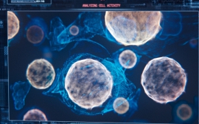 C4D 超强粒子特效渲染器插件 Thinkbox Krakatoa C4D v2.4.1.59322