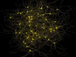 C4D医学动画工程文件:神经元突触传递 Synaptic Transmission