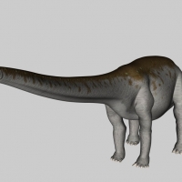 恐龙C4D模型：迷惑龙 Apatosaurus