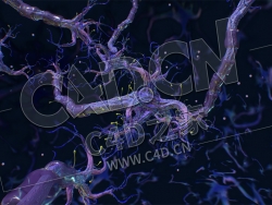 C4D神经元环状神经网络模型 Neurons