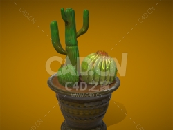 C4D写实仙人掌和仙人球盆栽景观树植物模型 CACTUS