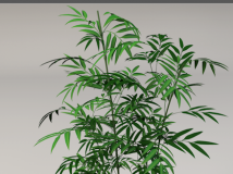 竹子3D模型 竹林模型 Bamboo