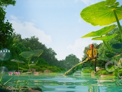 夏日森林中的河塘荷塘荷花荷叶蒲公英