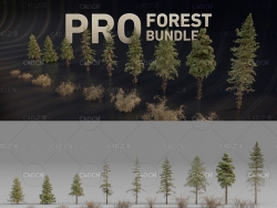 灌木植物树木3D模型 Gumroad – ALTER 49 – PRO Forest Bundle