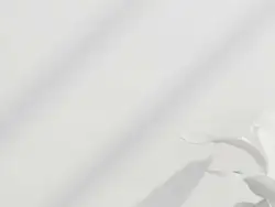 超声波清洗器