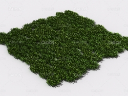 花纹草坪草地绿草植物C4D模型 pattern_lawn-grass-9