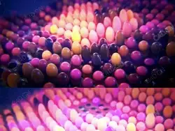 C4D粒子动画工程Particle Driven Effects - Colour Scale
