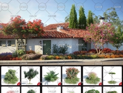 60个高精度植物树木C4D模型 EVERMOTION ARCHMODELS VOL.154