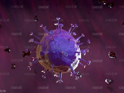 新型冠状病毒肺炎动画模型 Corona Virus