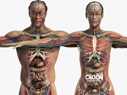 男女人体解剖C4D模型 Male and Female Anatomy Complete Pack V05