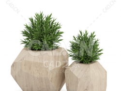 C4D佛甲草办公室客厅盆栽绿植模型