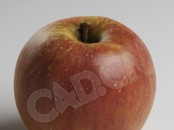 C4D水果模型红色苹果 RedApple