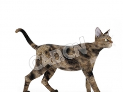行走中的塞伦盖蒂猫C4D模型