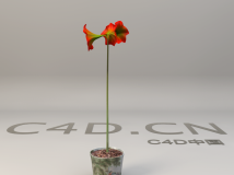 红花盆景 办公室花卉盆景3D模型