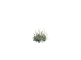 一撮小野草simple grass small v1