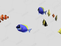 鱼群游走的鱼动画 school-of-fish-i-am-back-guy