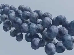 蓝莓C4D工程文件 C4D 3D Model Blueberry