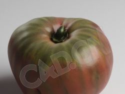 C4D西红柿蕃柿番茄模型 Tomatoe