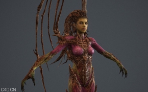 星级2虫族女皇的精度3D模型（含贴图）