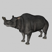 恐龙C4D模型：巨角犀（雷兽） Brontotherium