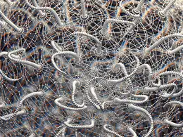 C4D实用工程第122季：金属寄生虫创意C4D工程文件 c4d project