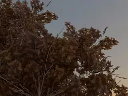 小练习