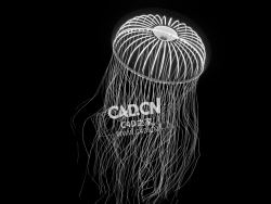 水螅水母水晶水母C4D模型 Crystal Jellyfish (Leptomedusae)