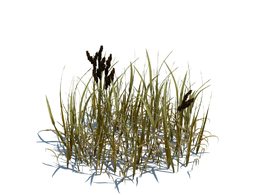 草地杂草植物杂草模型下载simple grass v3