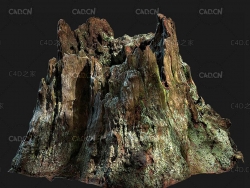 长满绿苔的枯树桩C4D OCTANE模型 Dead tree stump