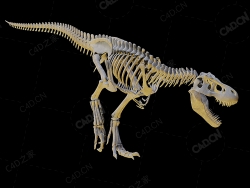 霸王龙骨架 tyrannosaurus-rex-skeleton