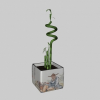 方花瓶富贵竹C4D模型 Dracaena sanderiana