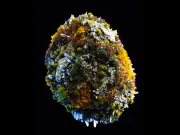 C4D实用工程第568季：长满植被晶体的科幻岩石C4D工程 C4D Project[Cinema4D - Octane]