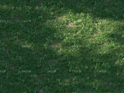 草坪 绿草地3D MAX模型 Nouvelle Mesure Lab – Shella Grass Pack V1 + V2