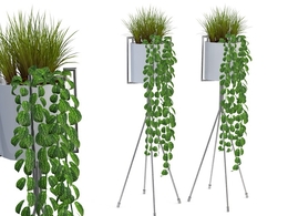 室内装饰植物C4D模型(03) Interior plants 3d model