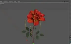 XFrog制作花
