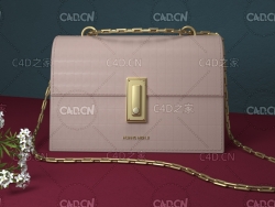 女士金色链条皮质包包产品C4D模型