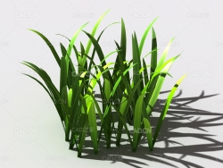 野草植物C4D模型 wild-grass-k2