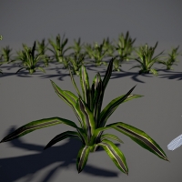长叶植物3D模型：Free Tropical plant 02 Pack