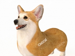 威尔士柯基犬小狗C4D模型 welshcorgi-dog