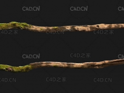 干枯的腐木枯树枝C4D OCTANE模型 wood branch